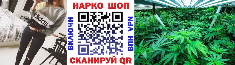 ГАШ Демидов