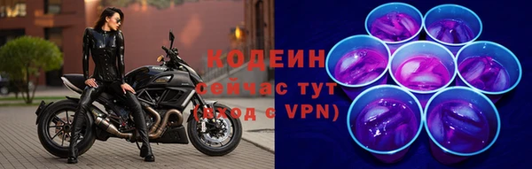 эйфоретик Вяземский