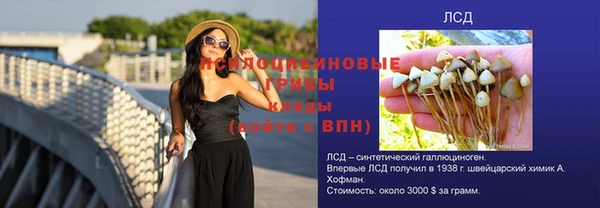 спайс Вязьма