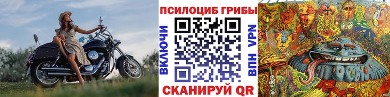 Купить  Демидов  Галлюциногенные грибы MAGIC MUSHROOMS 